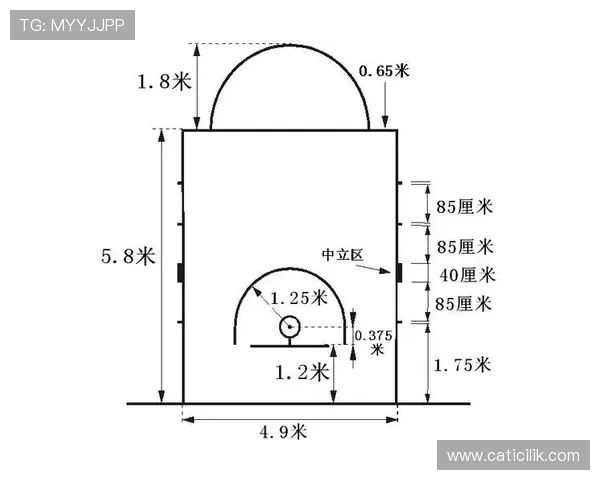 篮球技术犯规处罚规则深度解析：罚球与球权判定标准